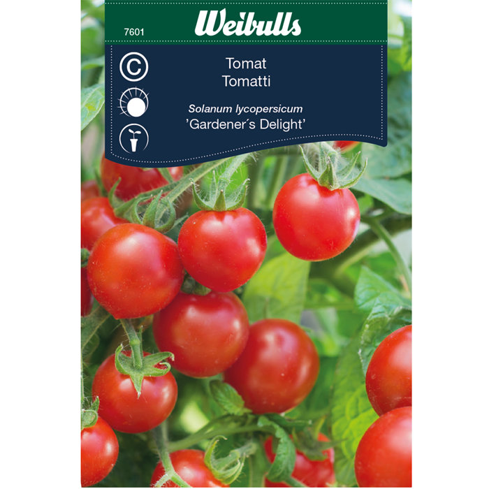 Tomat 'Gardener's delight'